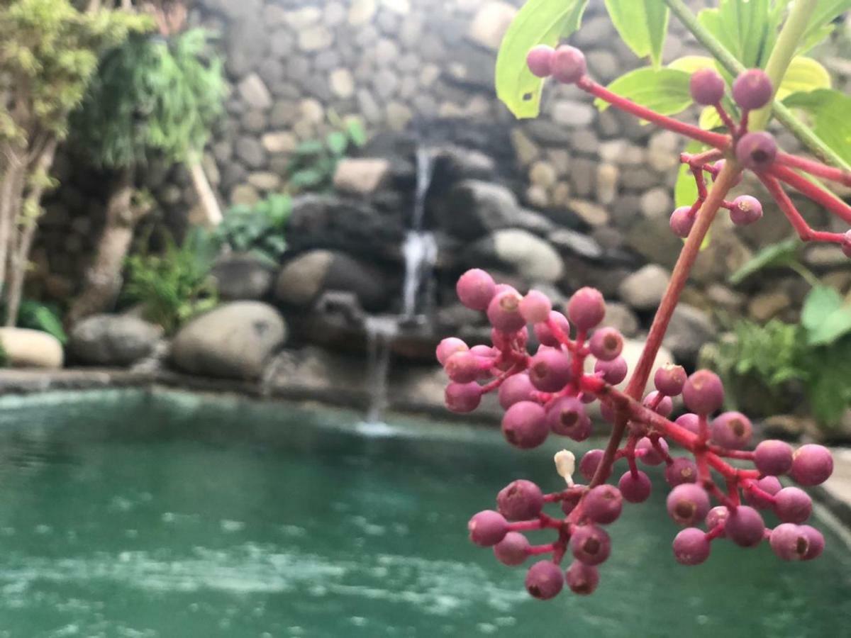 ホテル Melati Bali 2 チャングー エクステリア 写真